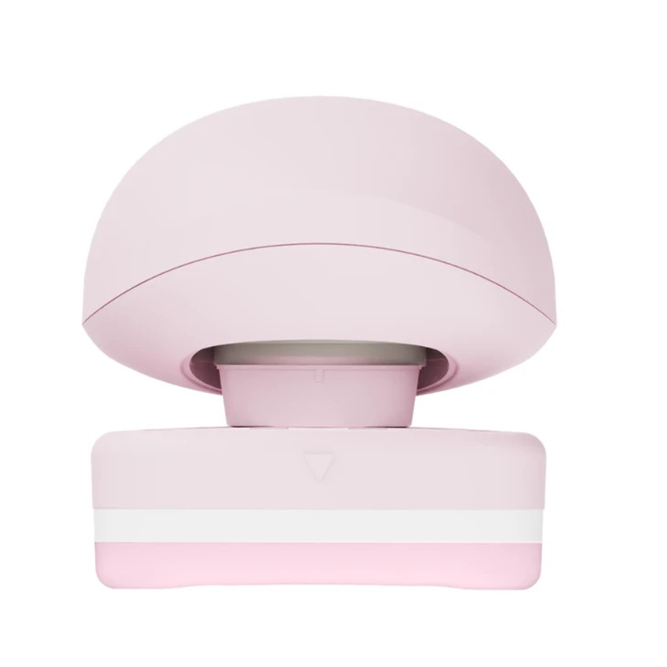 5 Balde Ladies Razor With Soap Bars best
